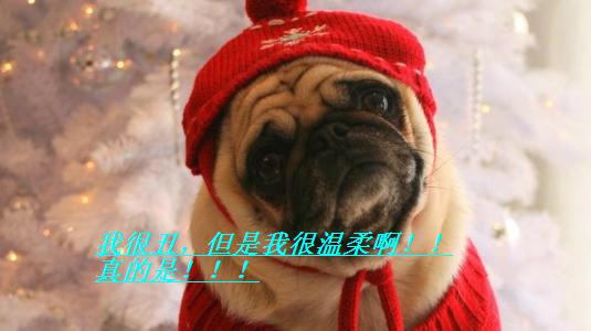 矮穷矬怎么翻身,矮穷矬的男生怎么逆袭