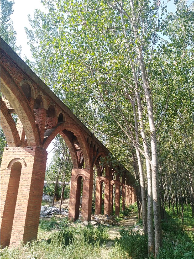 王玉：余沟初秋与老城老人