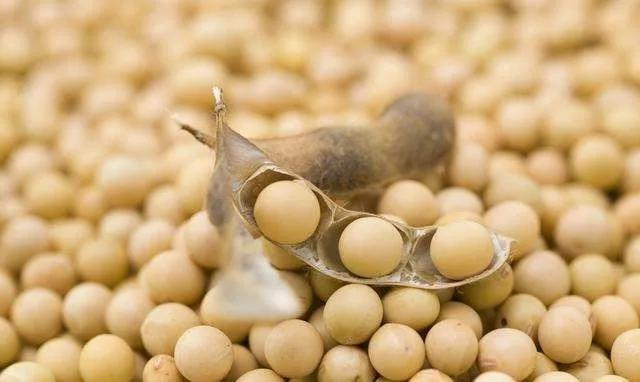 你必须知道的转基因小技巧,八年级下册生物转基因知识点