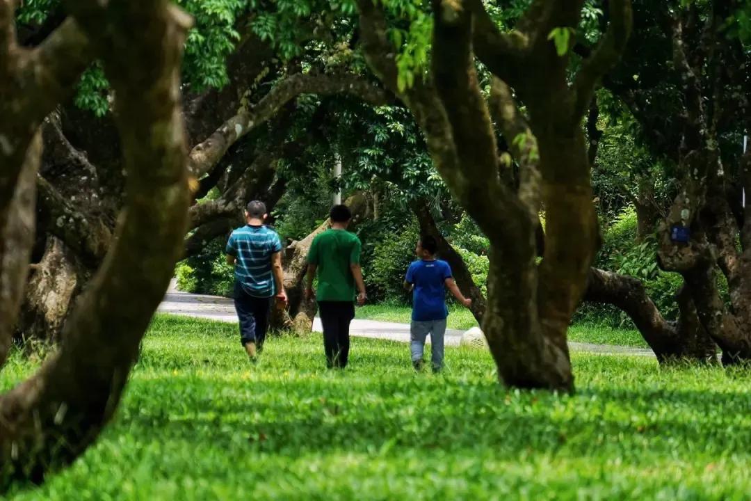 9号线上有什么景点吗,9号线游玩攻略大全