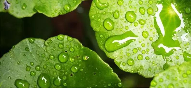 韩国美妆推荐bb霜,韩国再生bb霜图片