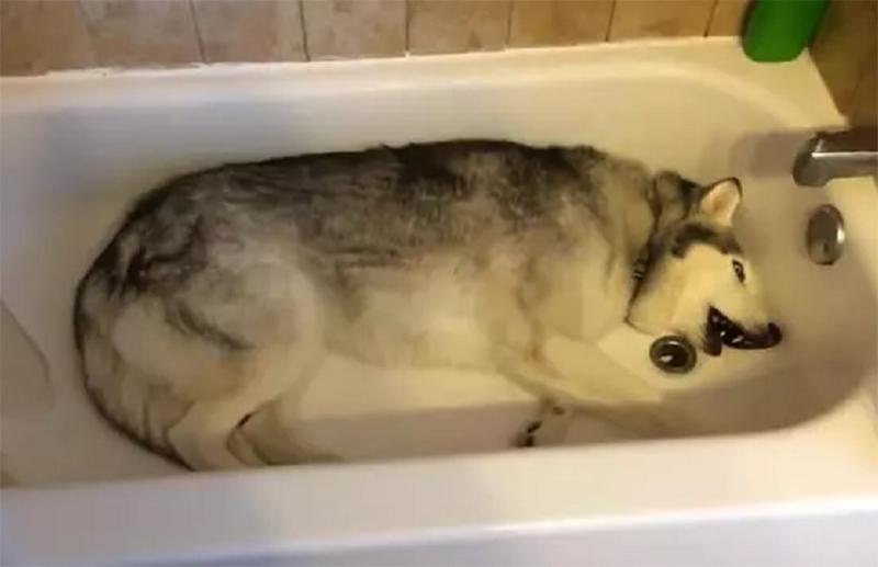 花洒用哪一种比较方便实用,花洒容易堵买什么花洒好