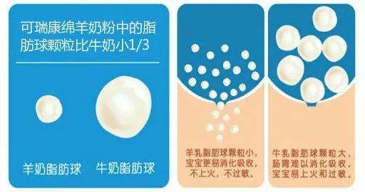 澳洲奶粉造假事件,澳洲牛奶骗局