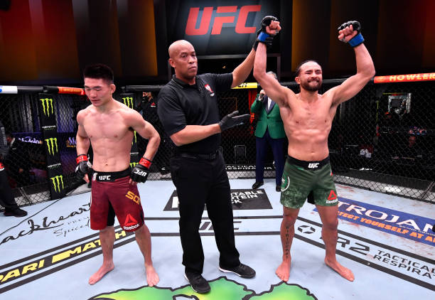 斯特林降服,斯特林被击败ufc