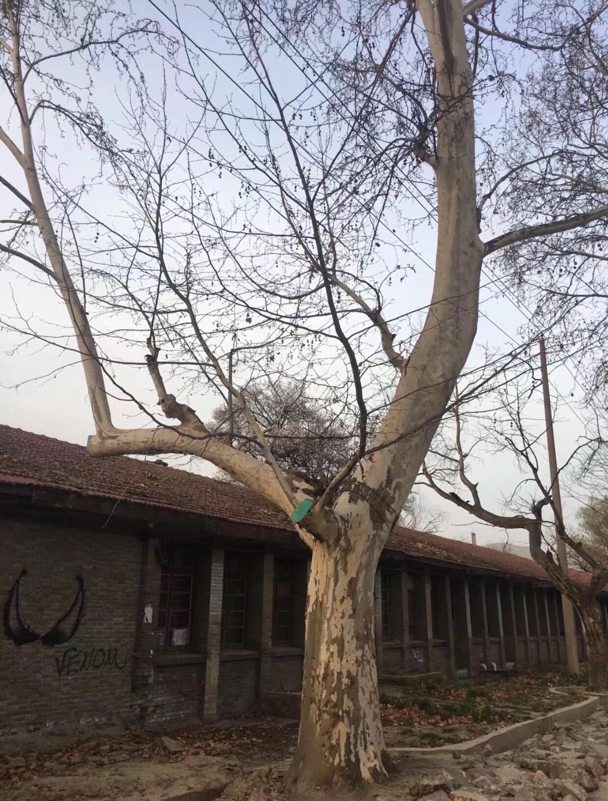 西北第一枪贺丰小说,西北第一枪厂介绍