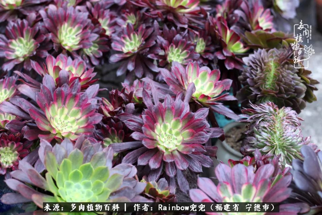 岁月无波澜余生不悲欢是啥意思,愿你岁月无波澜敬我余生无悲欢