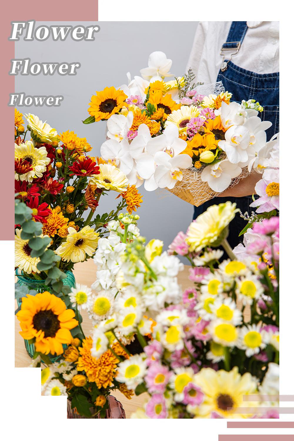 深夜去广州的花卉市场买花,如何逛斗南花卉市场买花便宜