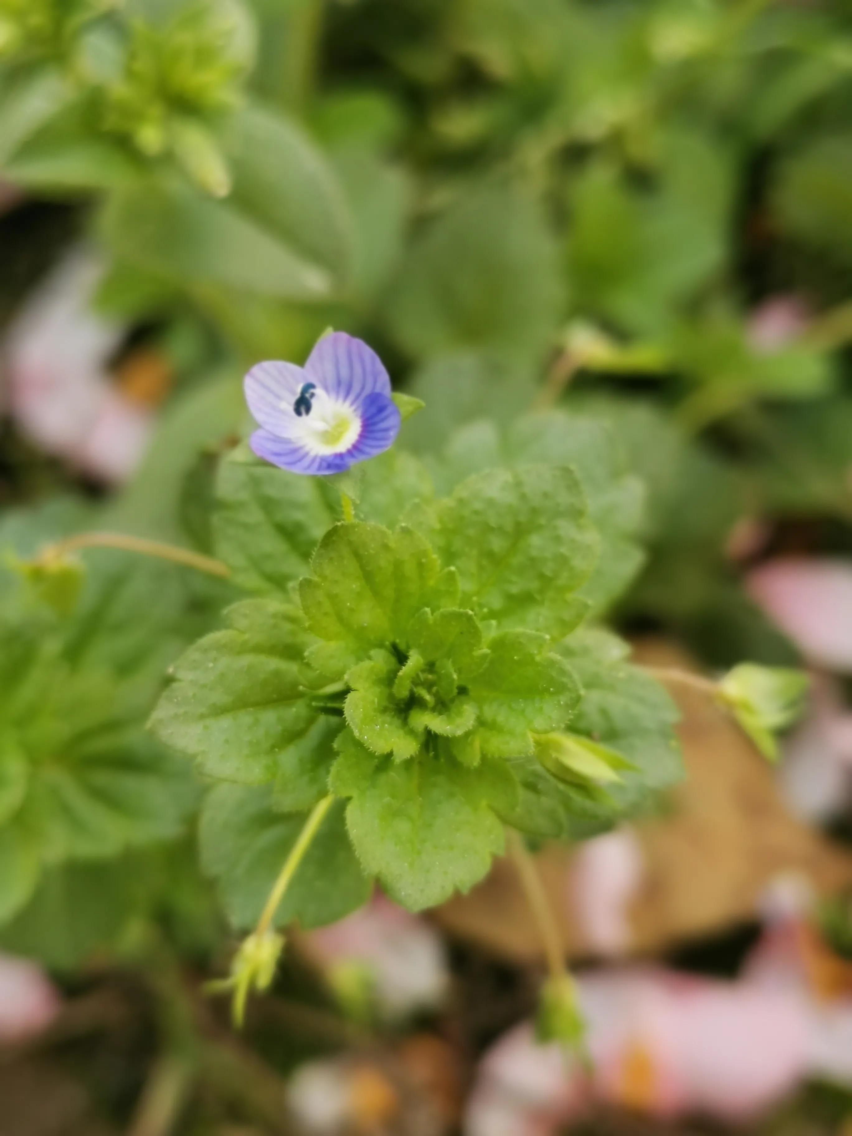 0328丽娣幸福实修日志第406篇