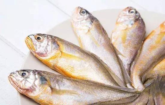 开捕啦3：黄鱼金灿灿，大黄鱼小黄鱼你爱哪一款？