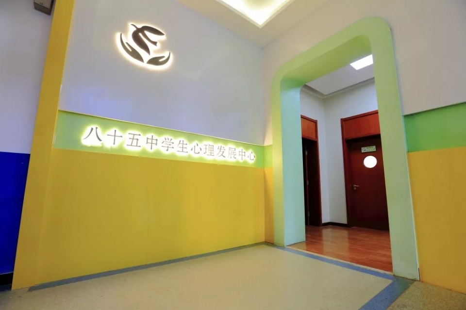 西安市第九十八中学名校,西安市第八十五中排名