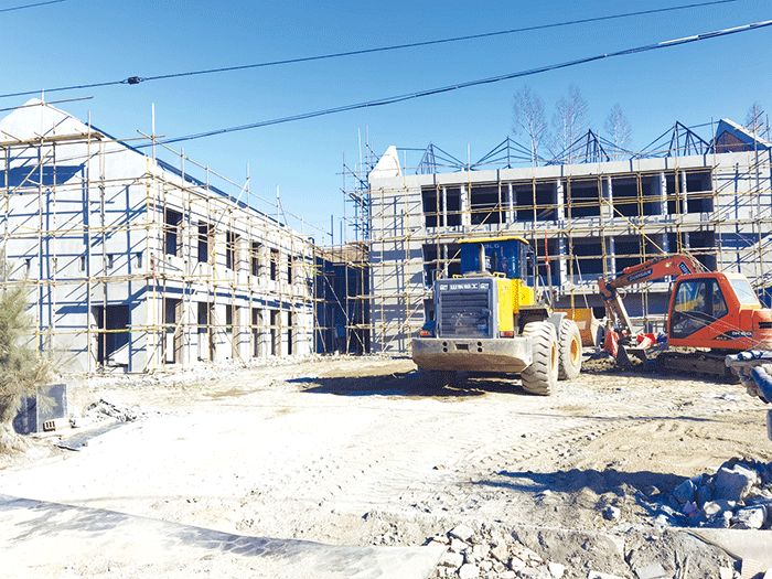 拔穷根龙象共舞同心共筑小康梦