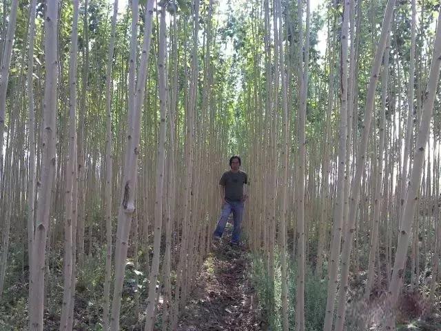 让农业真正回归照顾生命