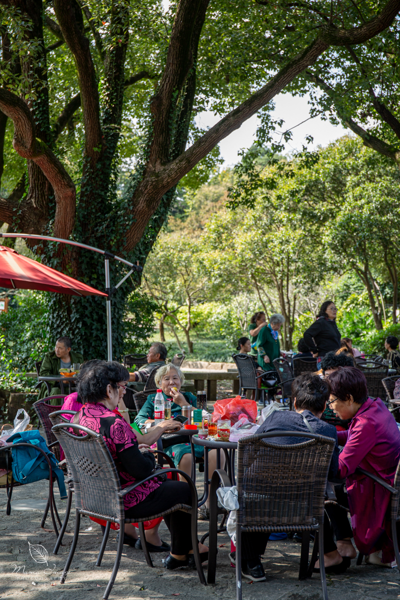 江南百年园林,江南私家园林所蕴含的人文情怀