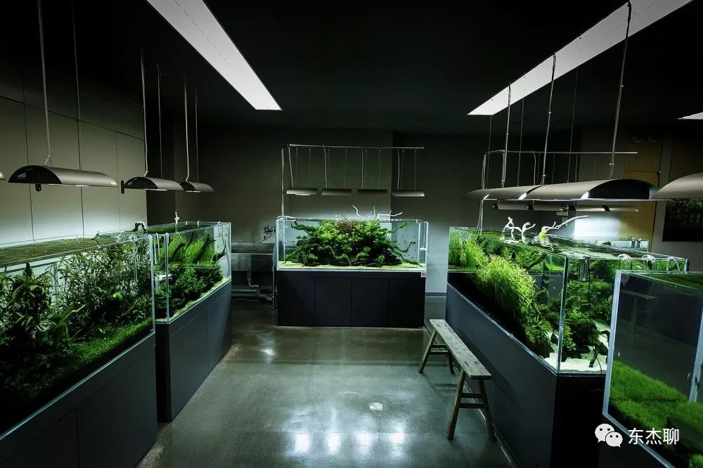 海缸推荐用什么过滤器,海缸用哪种过滤最好