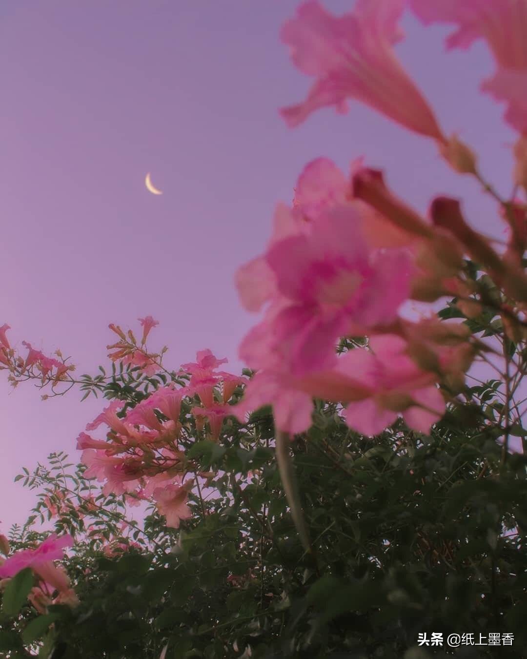 以后漫长的时光，你走了，我该怎么办？