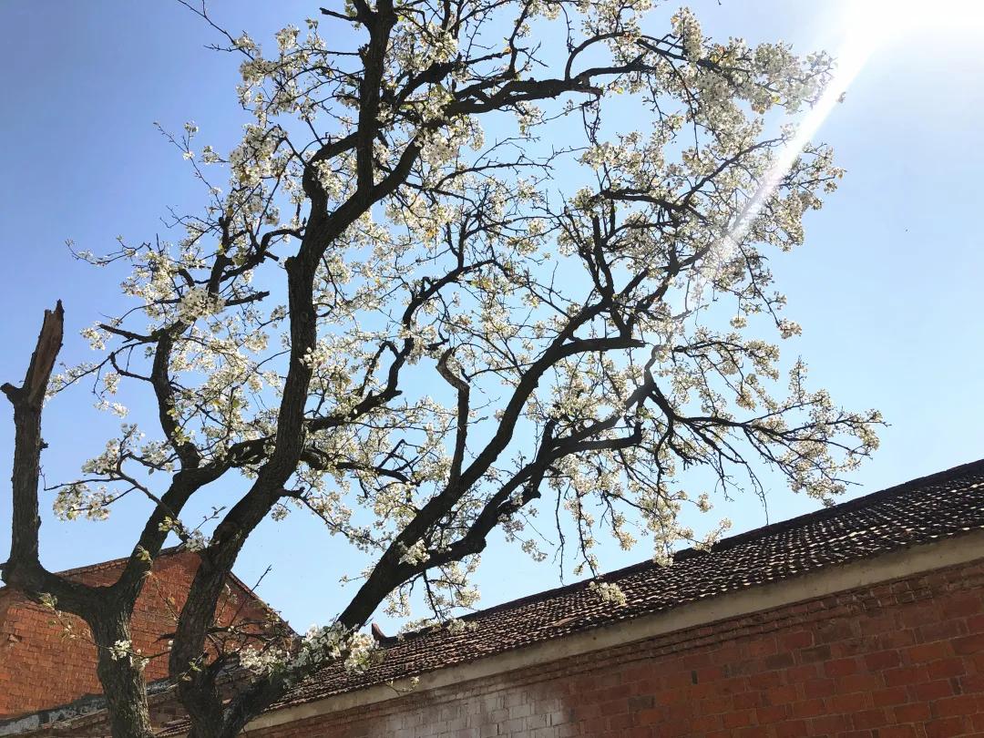 枣阳市创建乡村振兴示范县,襄州区乡村振兴扶贫工程