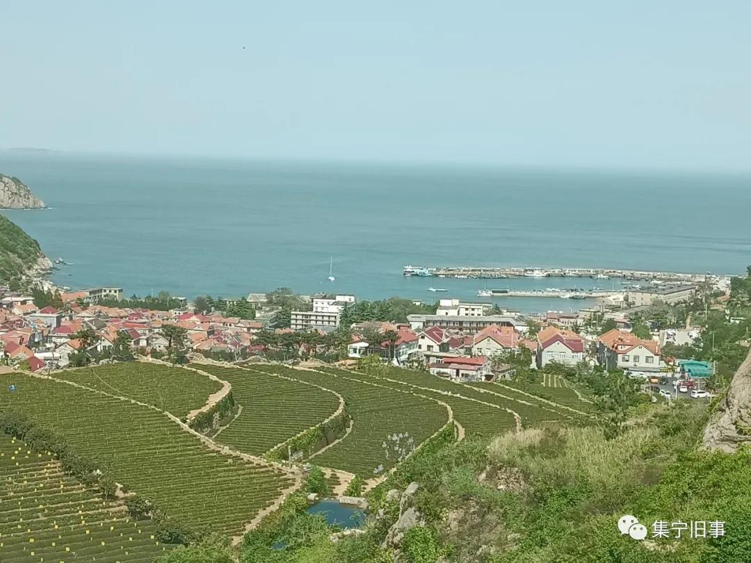 青岛旅行团跟团游四天三晚,青岛去北京两日游