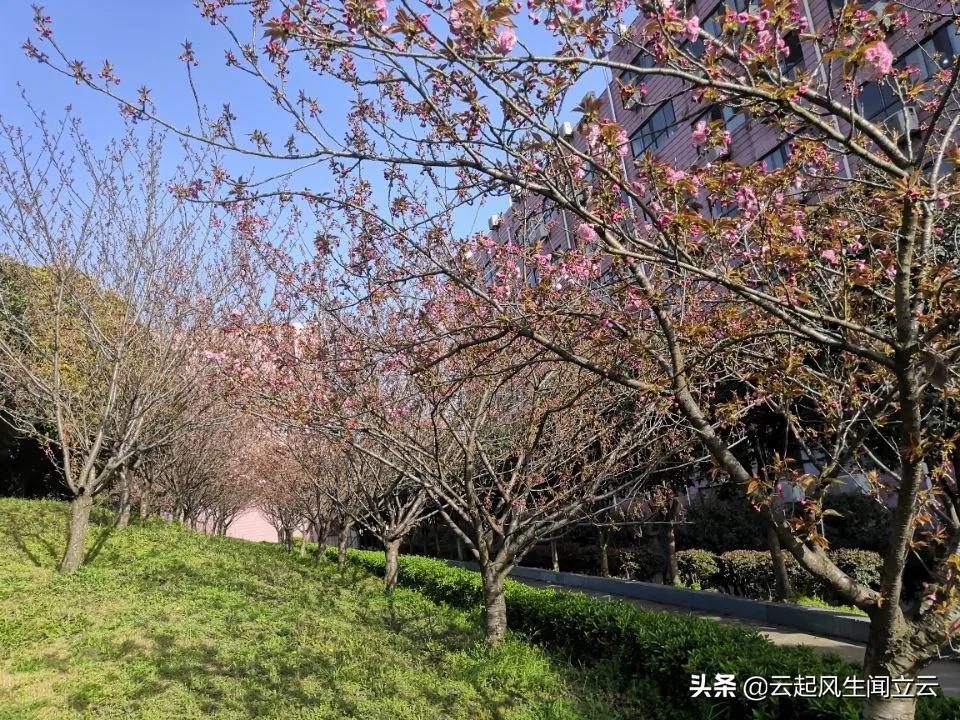 随州县城网红打卡地,随州市曾都区旅游景点