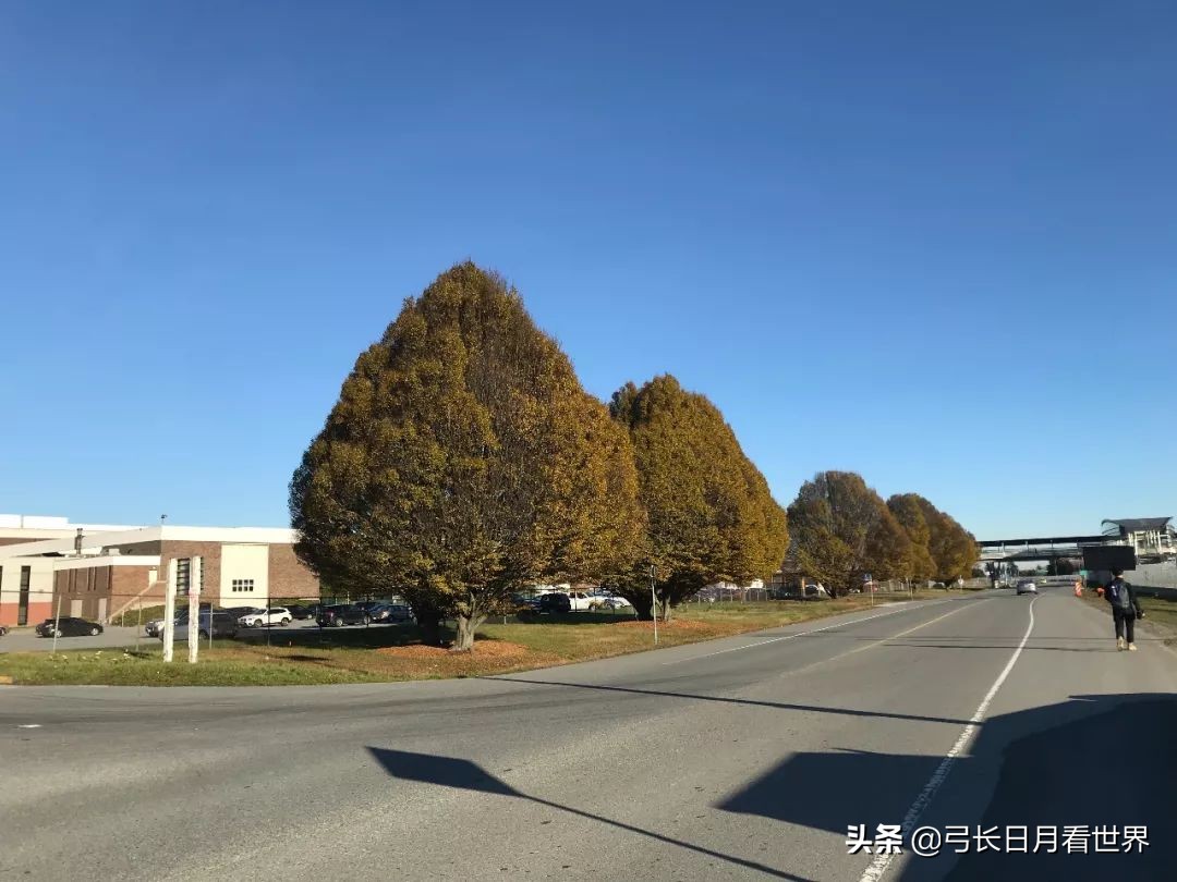 李新咏怎么断更了,李新咏结婚了吗