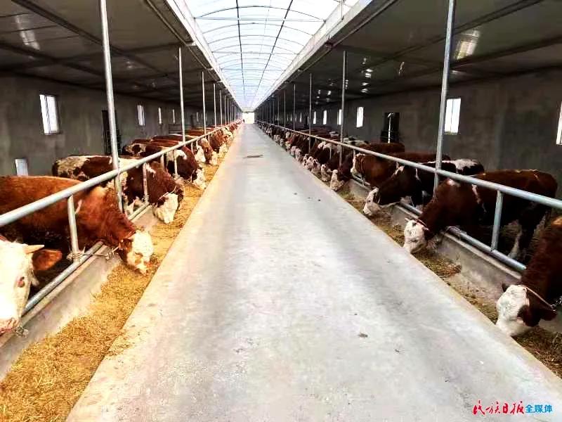 2022年临夏创业贷款什么时候开始,临夏县创业担保贷款详细流程