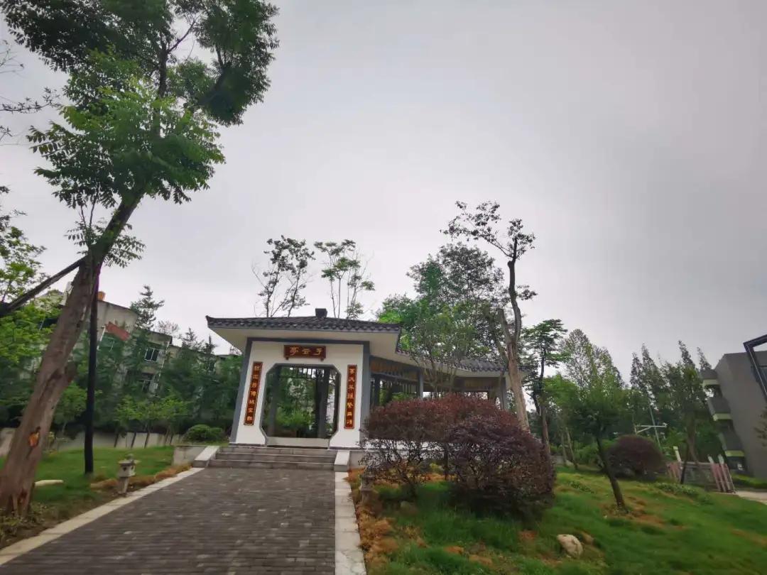 在名校读研的真实体验,在名校读书是什么体验