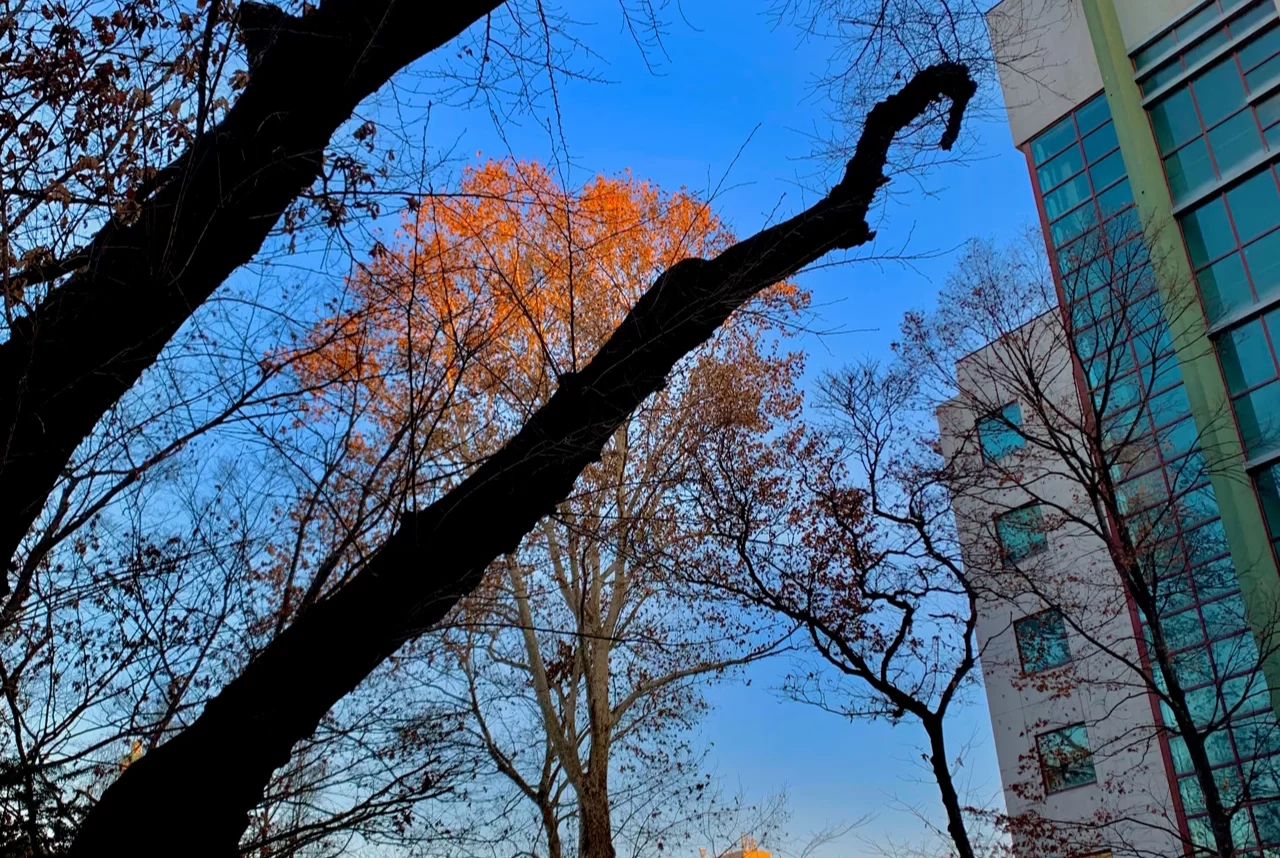 韩国庆熙大学与世宗大学哪个好,韩国庆熙大学留学申请怎么样