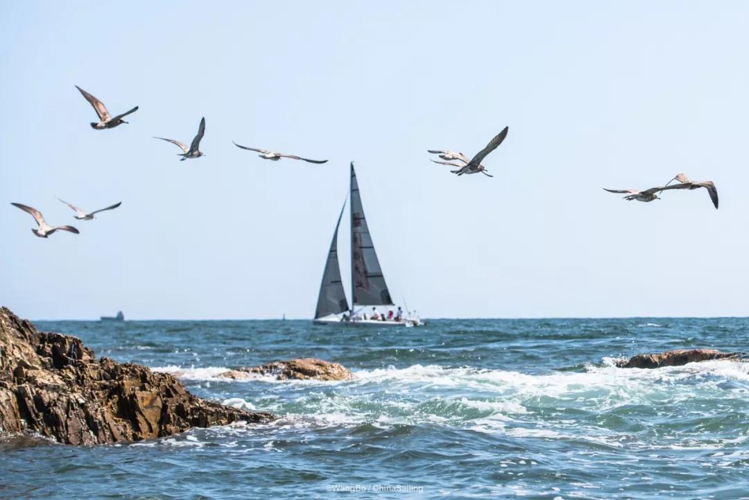 越看越上瘾的航海冷知识,这些海洋冷知识你一定想知道