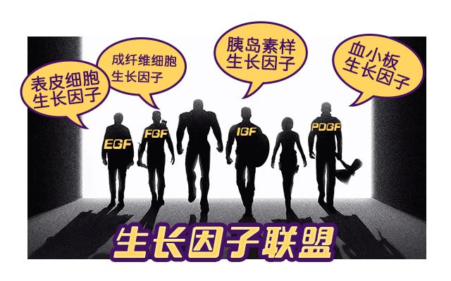 生长因子结合蛋白报告单解读,生长因子igf-1正常值