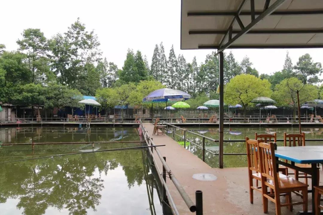 都江堰景区钓鱼地点推荐,都江堰垂钓好去处