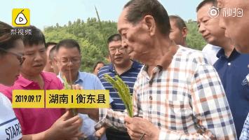 袁隆平先生的金典语录,我们为什么崇拜袁隆平