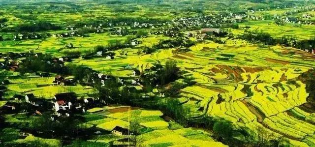 陕西省哪些市发展好,陕西各个县发展排名