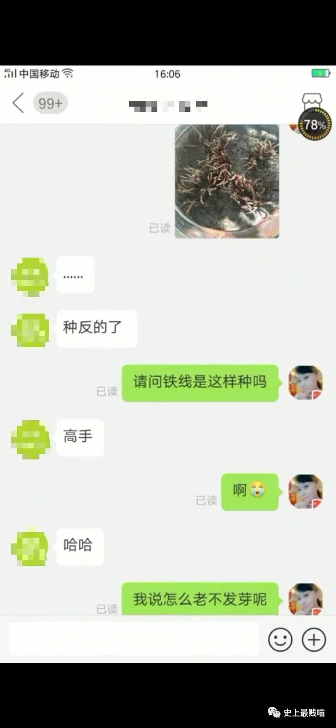 第一次看到把抖m说的这么清新脱俗的...实在太形象了哈哈哈哈哈!