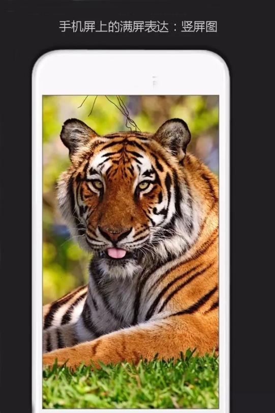 淘宝运营技巧详情,淘宝新手运营实操教程