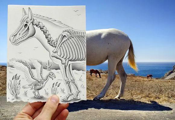 物种起源纪录片,物种的起源全文免费阅读