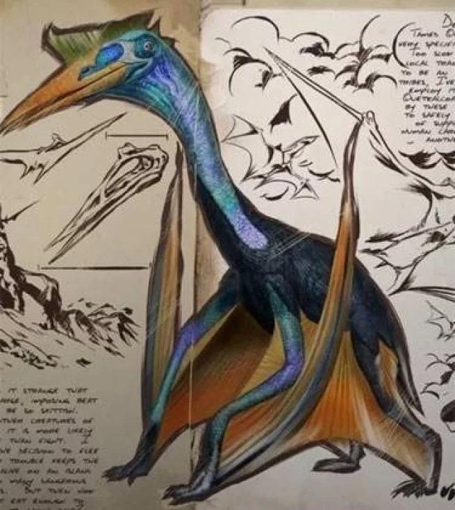 地球最大动物蓝鲸两百吨体重,地球最大的动物是什么动物