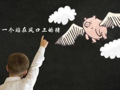 互联网创业的机会性,互联网创业回归现实吗