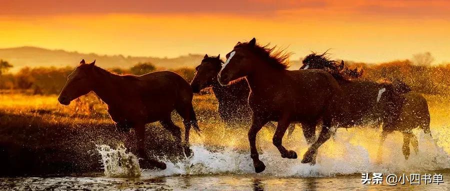 焉知非福塞翁失马语录,塞翁失马焉知非福符合哪家学说