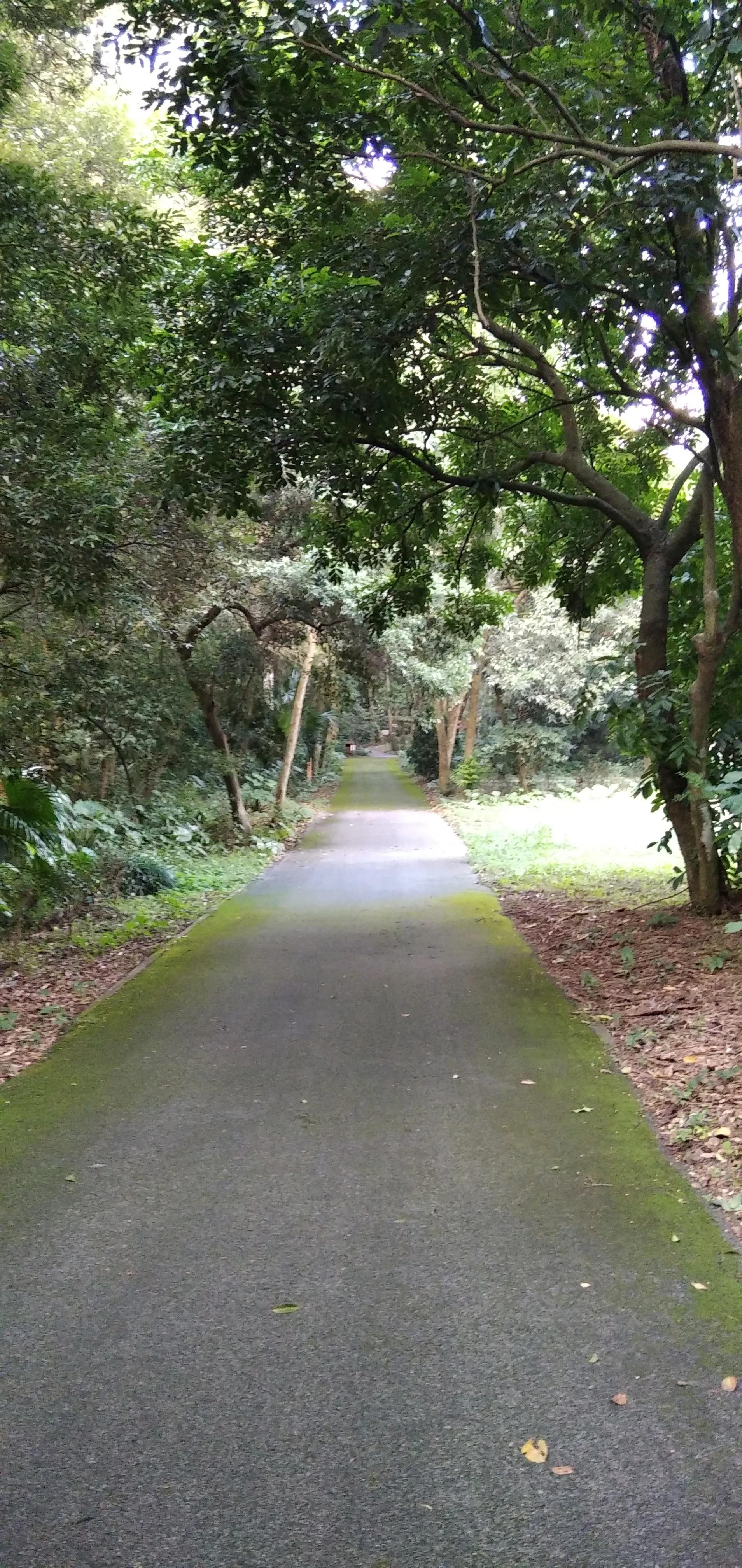 良凤江国家森林公园在哪里啊,良凤江国家森林公园