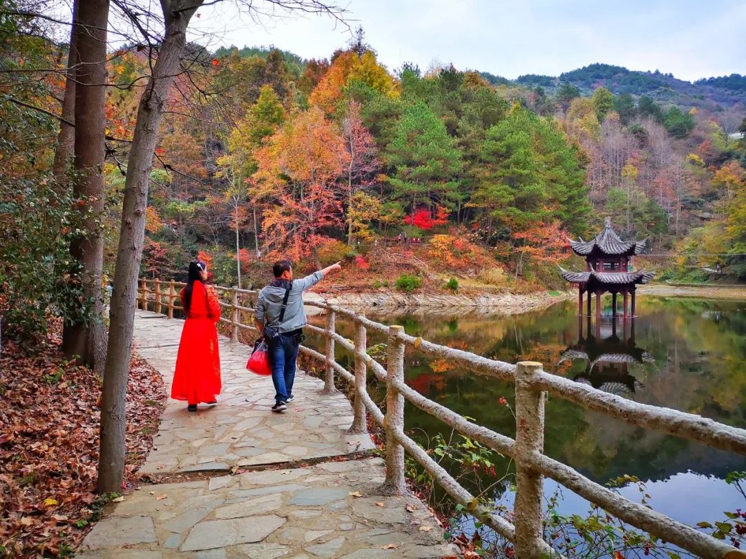 秋天赏枫叶好去处,赏红叶正当时