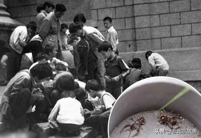 老北京俗语有哪些,老北京有句老话