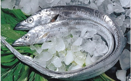 带鱼价格为什么差别很大,为什么超市的带鱼段价格差这么多