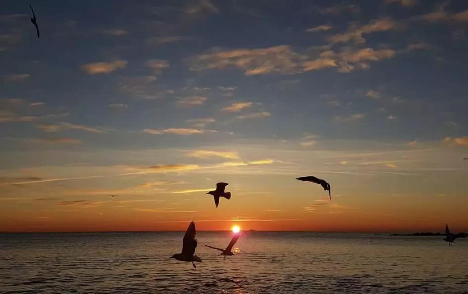 巴塞罗那优秀的地方,巴塞罗那有什么古老的灵魂