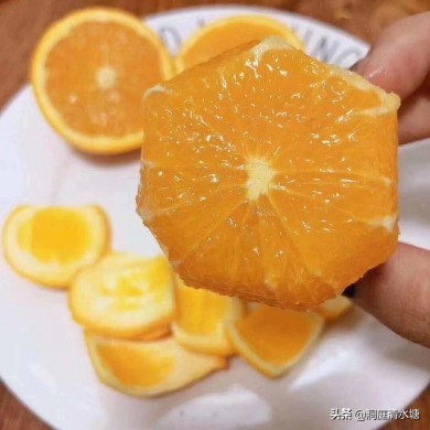 正宗的麻阳冰糖橙,麻阳冰糖橙糖分高吗