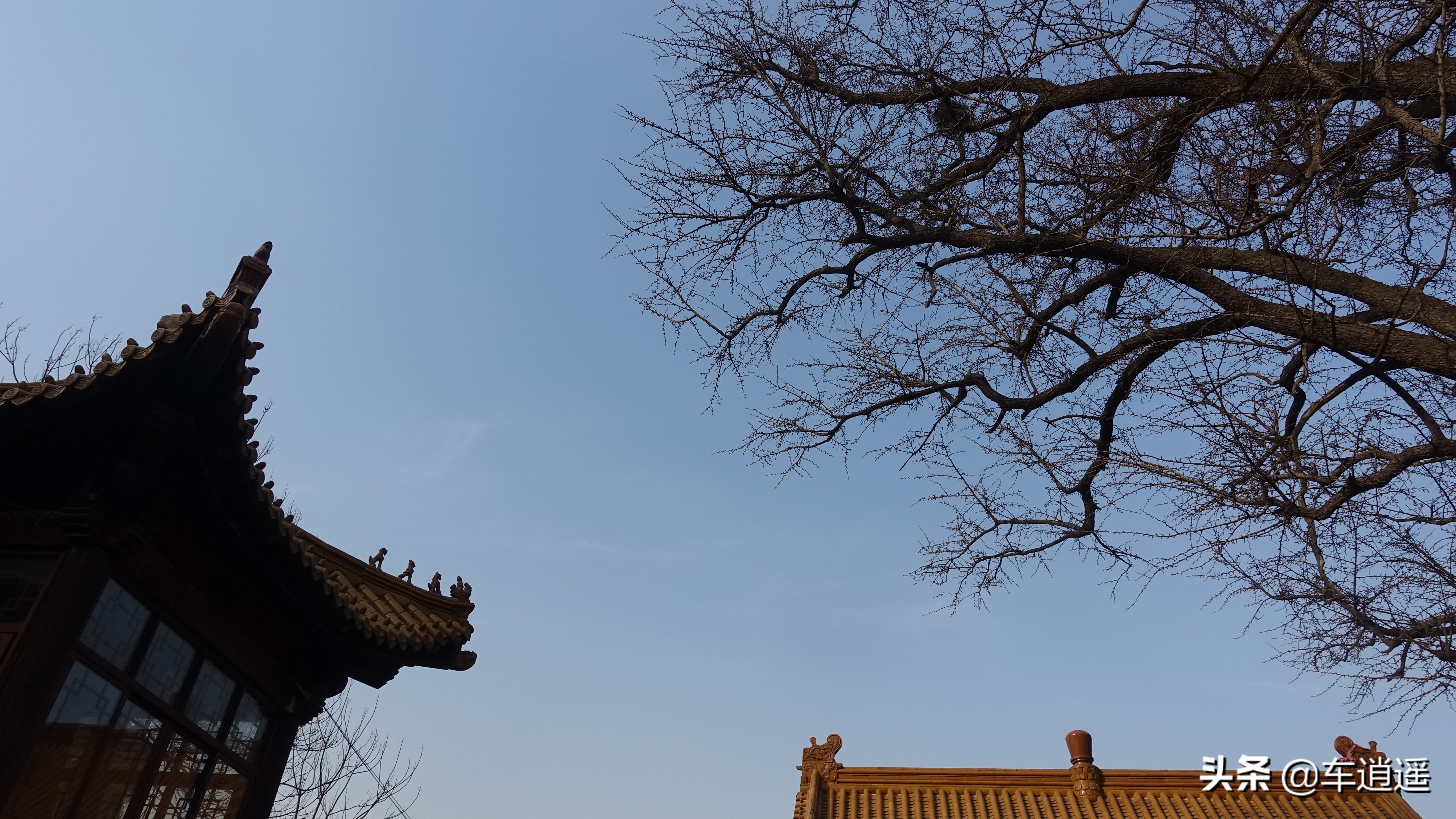 济南小河流网红打卡景点,济南打卡必去旅游景点