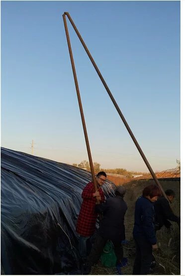 鑺辨埧濮戝澶氳倝閰嶅湡,鑺辨埧濮戝鐜夐湶澶氳倝