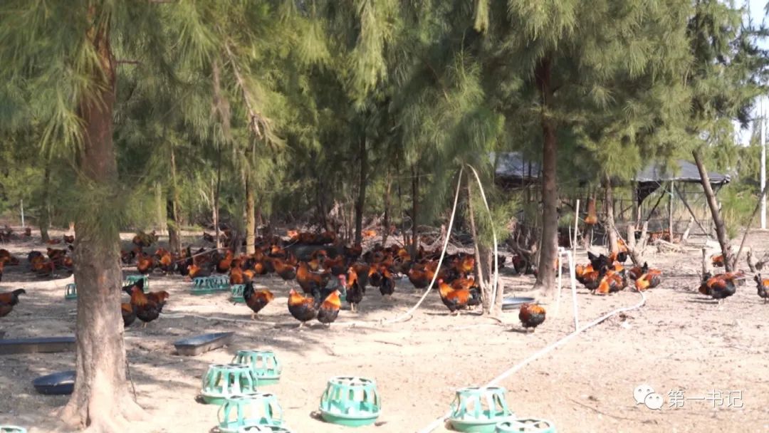 靠海发家致富,靠海吃海的渔家怎么生活