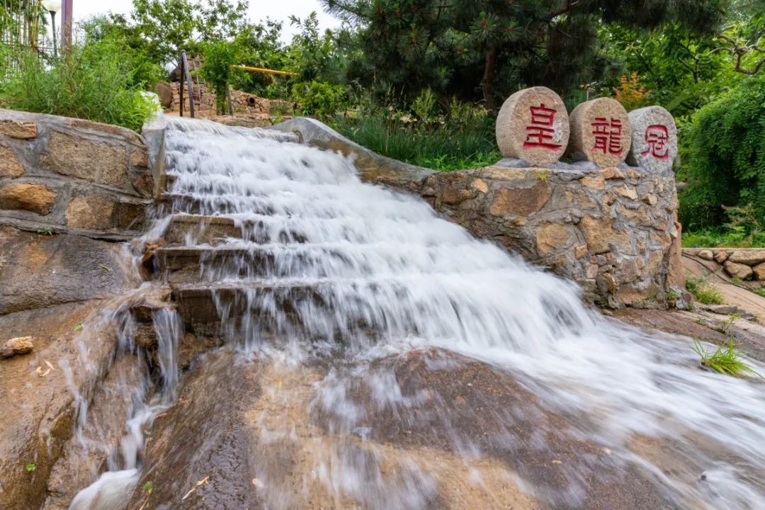 被央视打卡的梨花胜境，千亩白瓣状似雪花，济南莱芜区还有这些国家级景区不容错过！