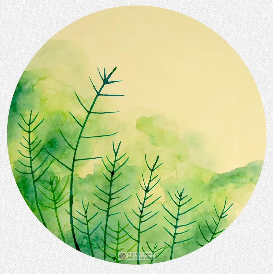 油画棒画油菜花,油菜花油画棒儿童画