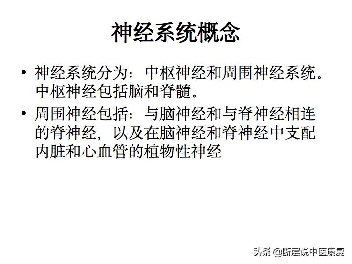 中枢神经系统断层解剖讲解,中枢神经3d解剖动画