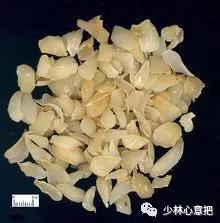 中药药材大全及功效,补肾中药大全及功效